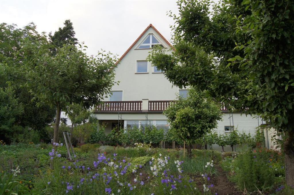 Pension Elbblick Sabine Zuschke room 6